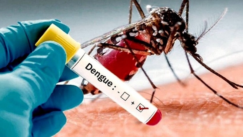Desde APUTN nos enorgullece informar que la Anmat aprobó el uso de una vacuna contra el dengue