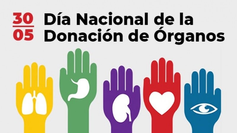 30 de mayo - Día Nacional de la Donación de Órganos -